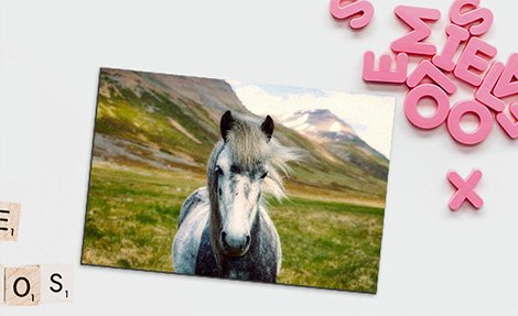 Photo Magnets from £1