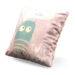 Small Photo Cushion (12" sq) with Owl design